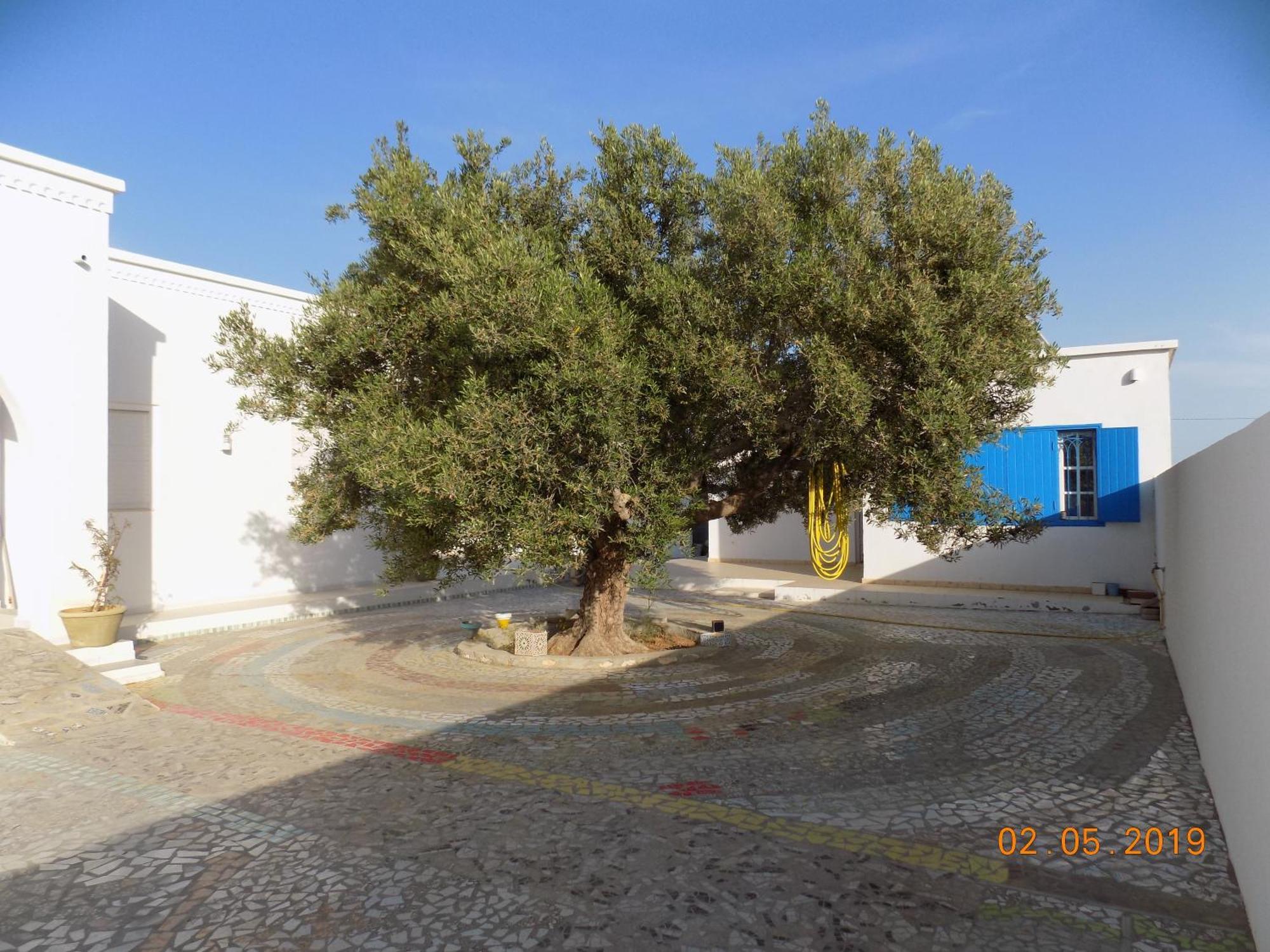 Bed and Breakfast Dar Mamina Sidi ash Shammakh Exterior foto