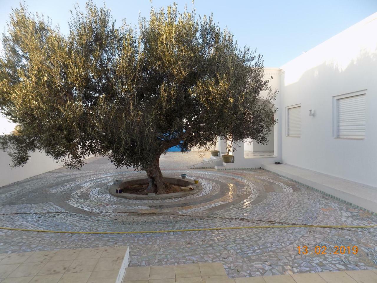 Bed and Breakfast Dar Mamina Sidi ash Shammakh Exterior foto