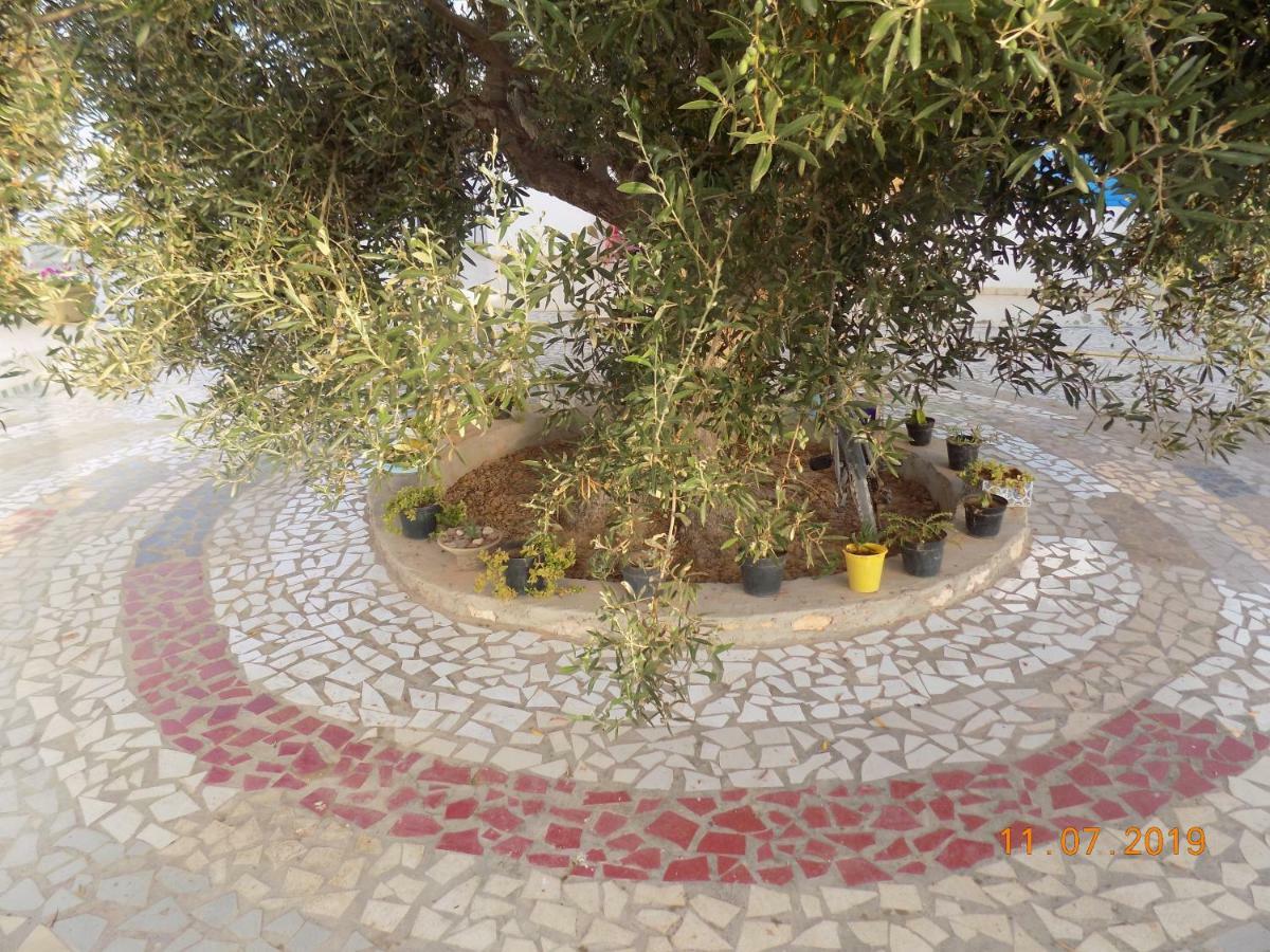 Bed and Breakfast Dar Mamina Sidi ash Shammakh Exterior foto