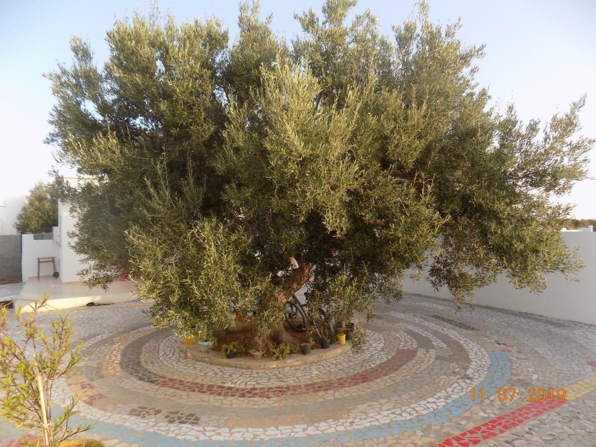 Bed and Breakfast Dar Mamina Sidi ash Shammakh Exterior foto